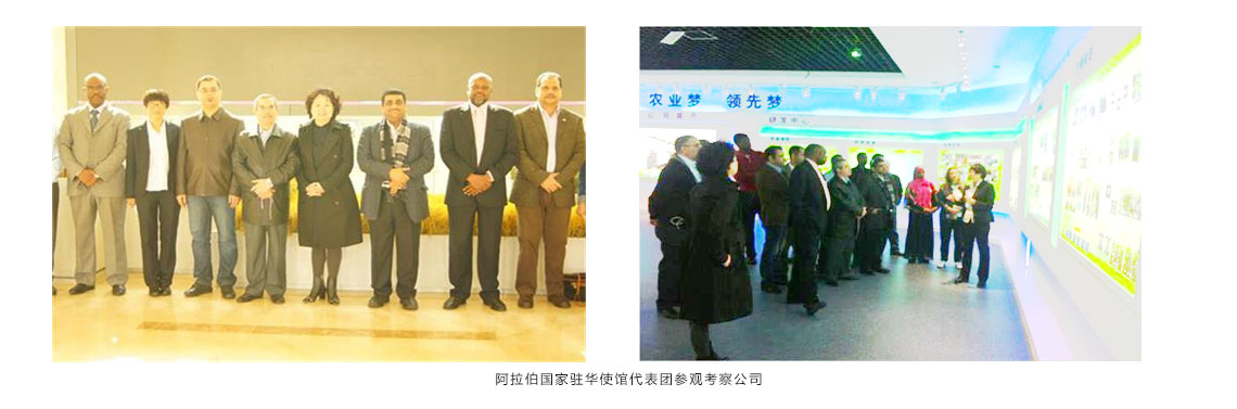 阿拉伯国家驻华使馆代表团参观考察公司