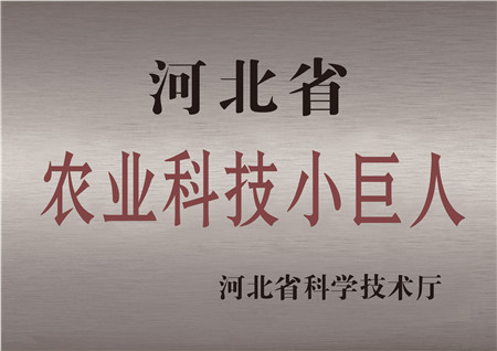 k豆钱包被评为河北省农业科技小巨人
