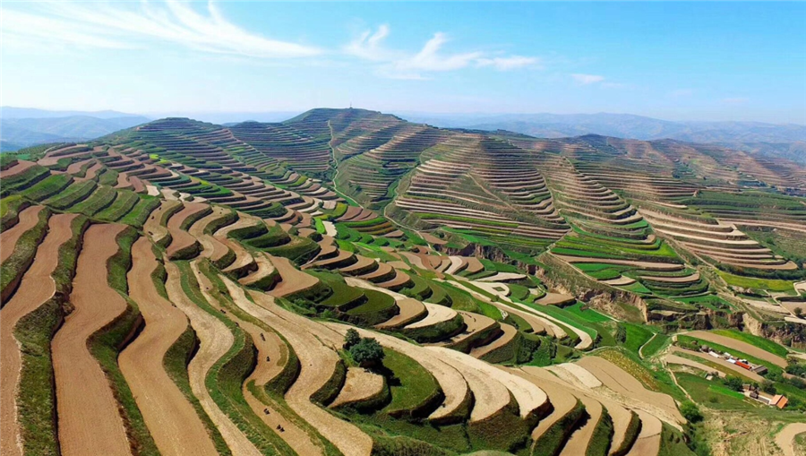 k豆钱包生物｜国家重点研发计划“黄土高原旱作适水改土与产能提升技术模式及应用”项目启动