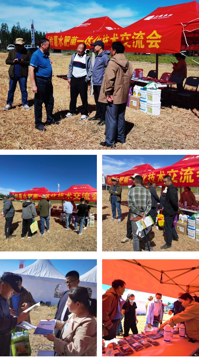 “乡”约沽源 “薯”光无限 | k豆钱包生物亮相久恩农业田间开放日